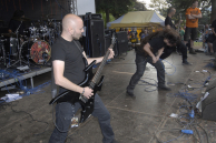 WORMED